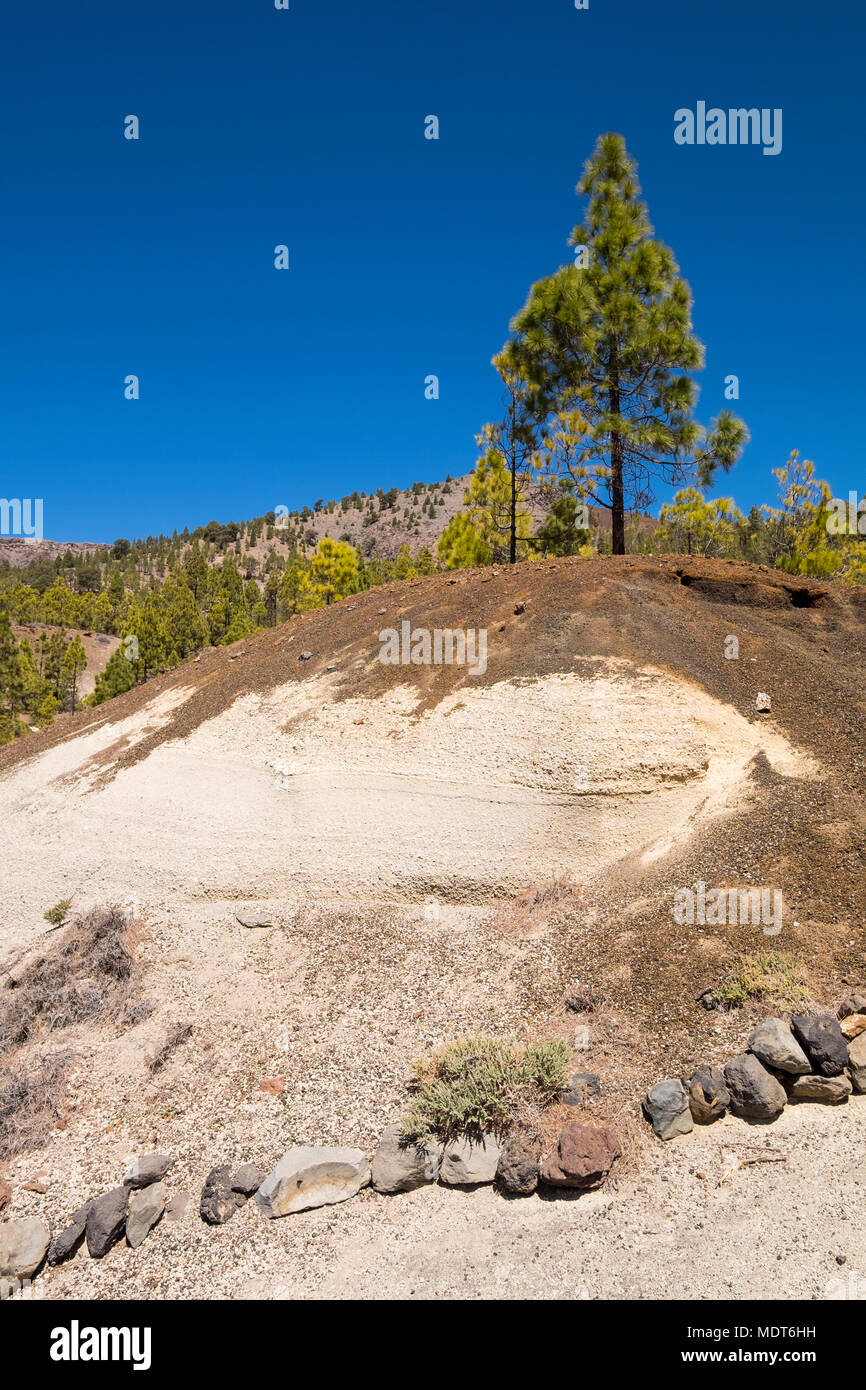 La pomice formazioni di roccia vulcanica scolpita e erose dal vento e acqua nel paesaggio lunare, Paisaje Lunar, parco naturale area in Vilaflor, Tenerife, Foto Stock