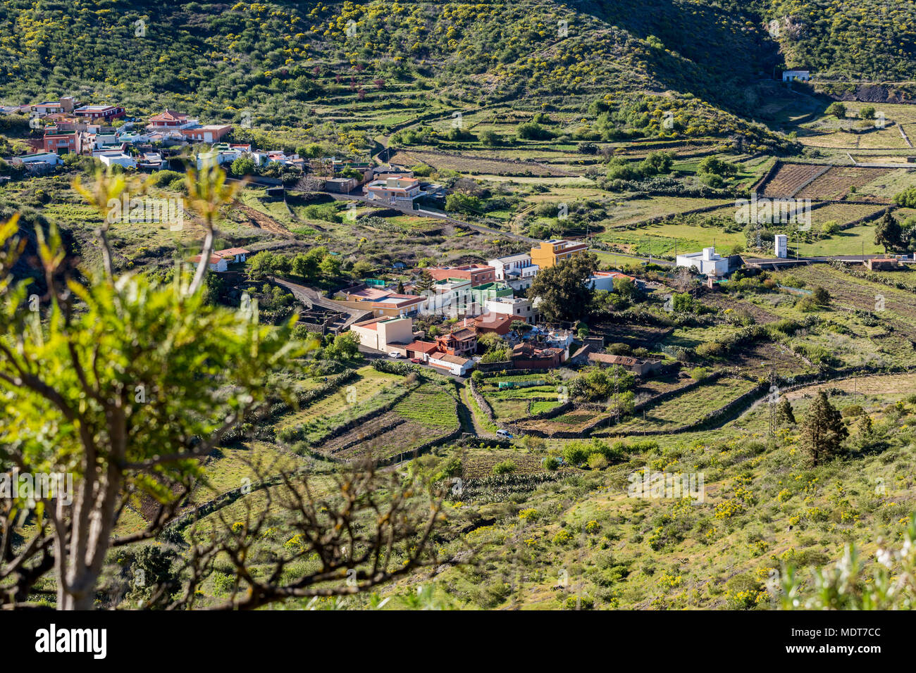 La fertile valle e borgo agricolo della Valle Arriba, vigneti e campi di patate e altre colture sono coltivate qui in primavera, vicino a Santiago del Teide, T Foto Stock