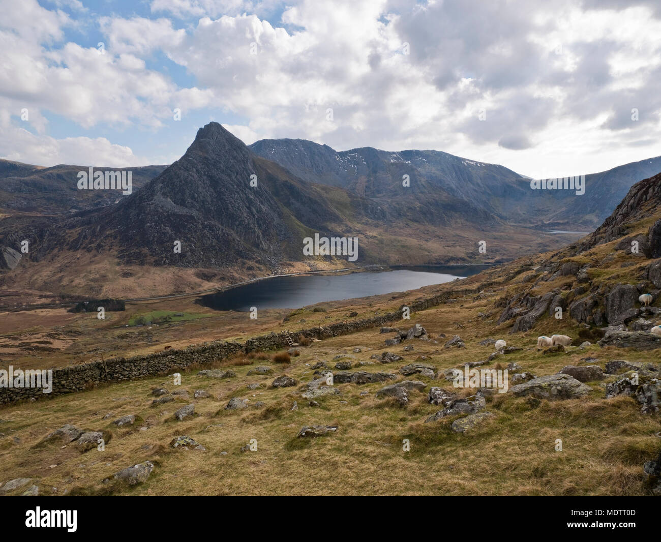 Vista dalle pendici del Pen yr Ole Wen nelle montagne Carneddau attraverso Llyn Ogwen / Nant y Benglog al picco del Tryfan e Y Glyderau montagne Foto Stock