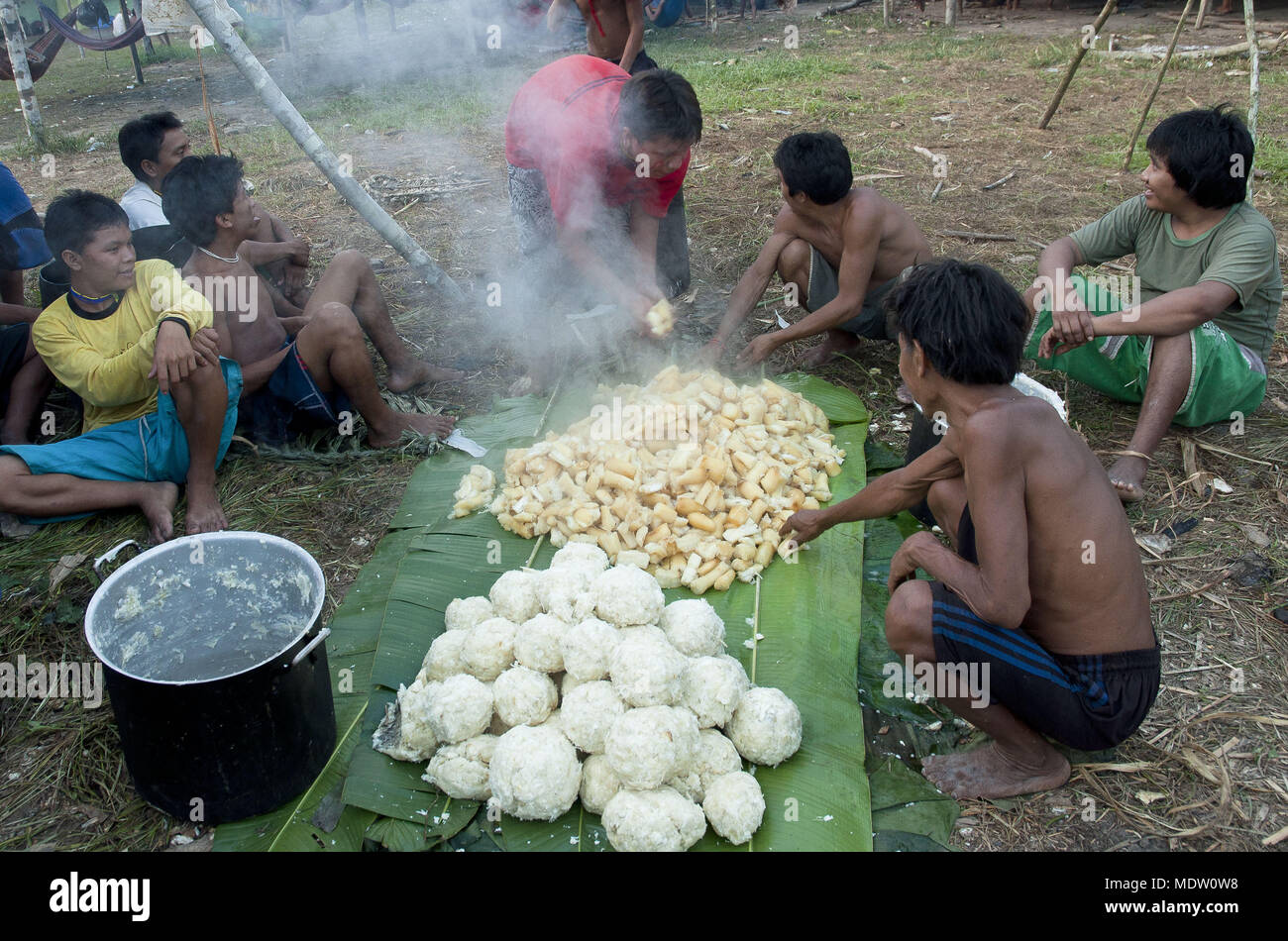 Tapioca manioca che verrà servito durante la riunione degli Yanomami gruppi etnici - Comunità Toototobi Foto Stock