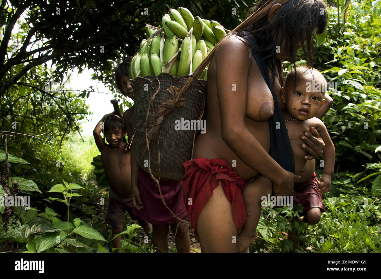 India Yanomami villaggio di Marari con il bambino in bracci portanti mazzetto di banane Foto Stock