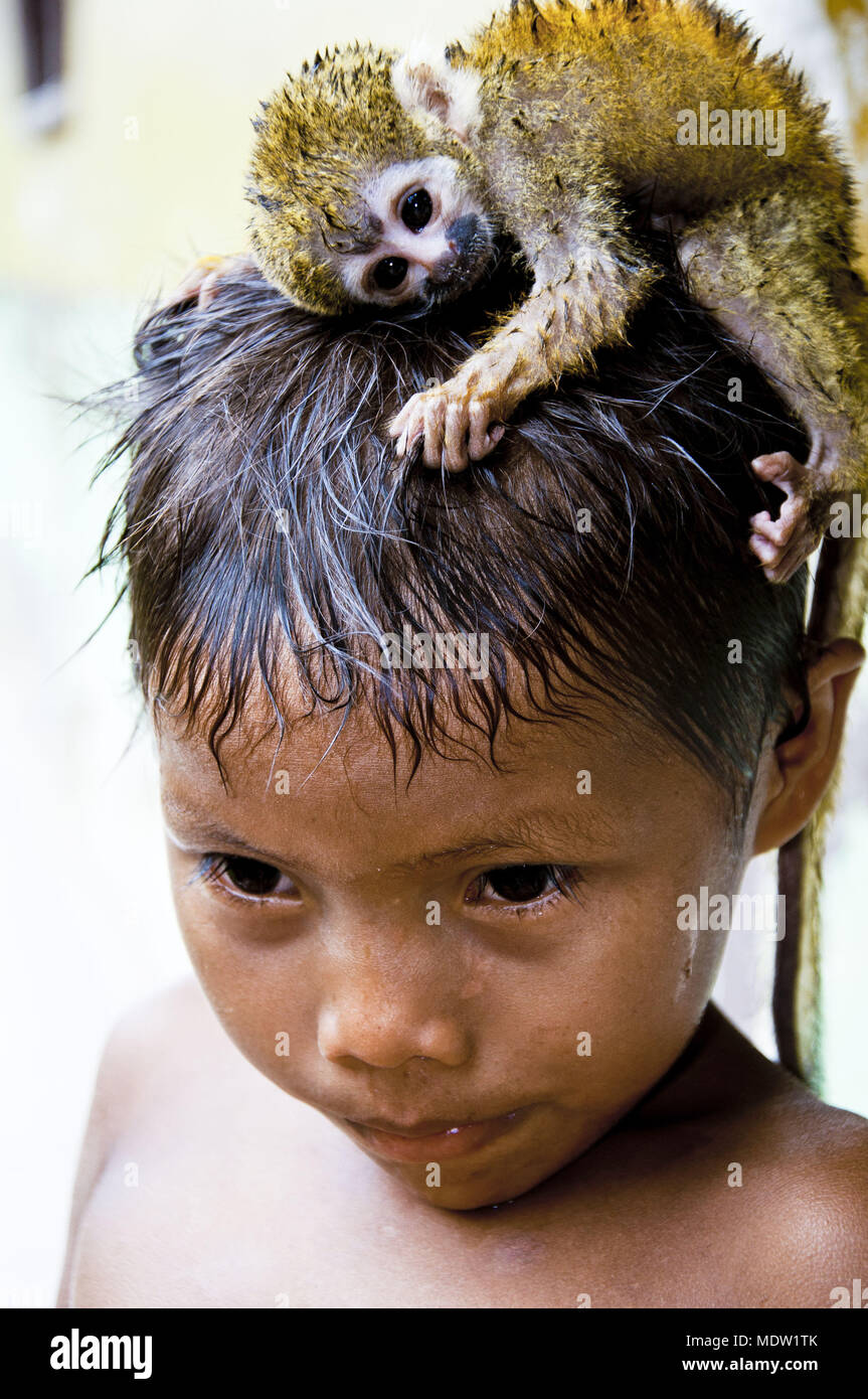 Gli Yanomami bambino con jack-del-l'odore di stima in testa - Villaggio Ixima Foto Stock