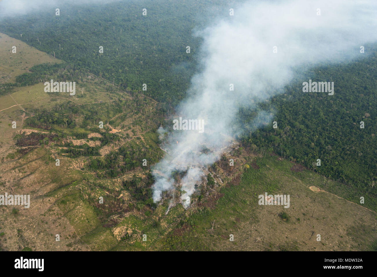 Vista aerea della zona disboscate e masterizzazione di foresta amazzonica per la preparazione di pascolo Foto Stock