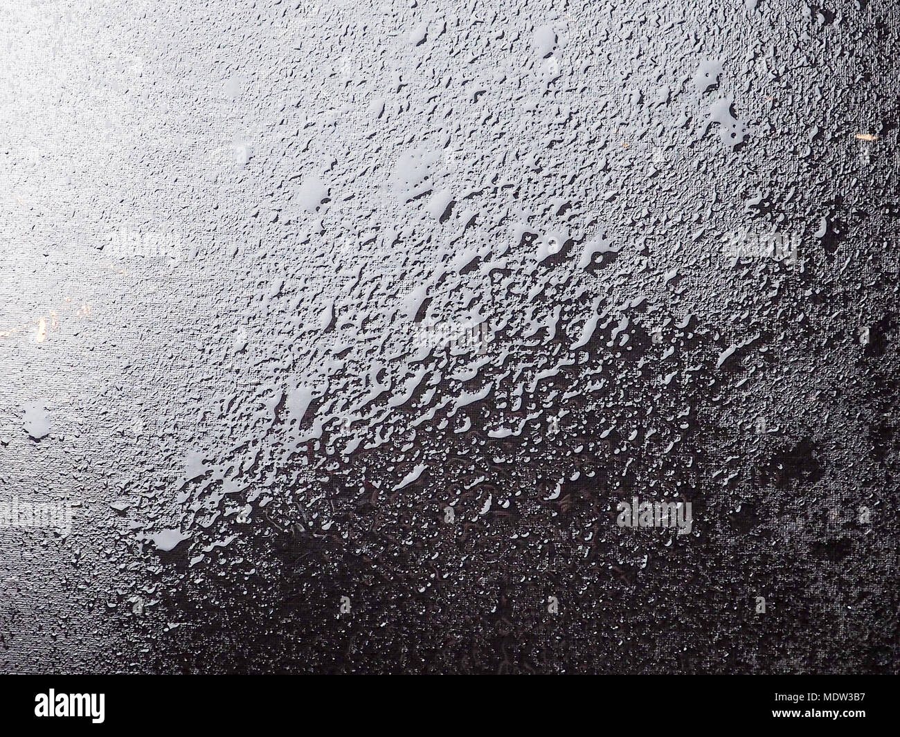 Gocce di superficie repellente acqua in bianco e nero. Foto Stock