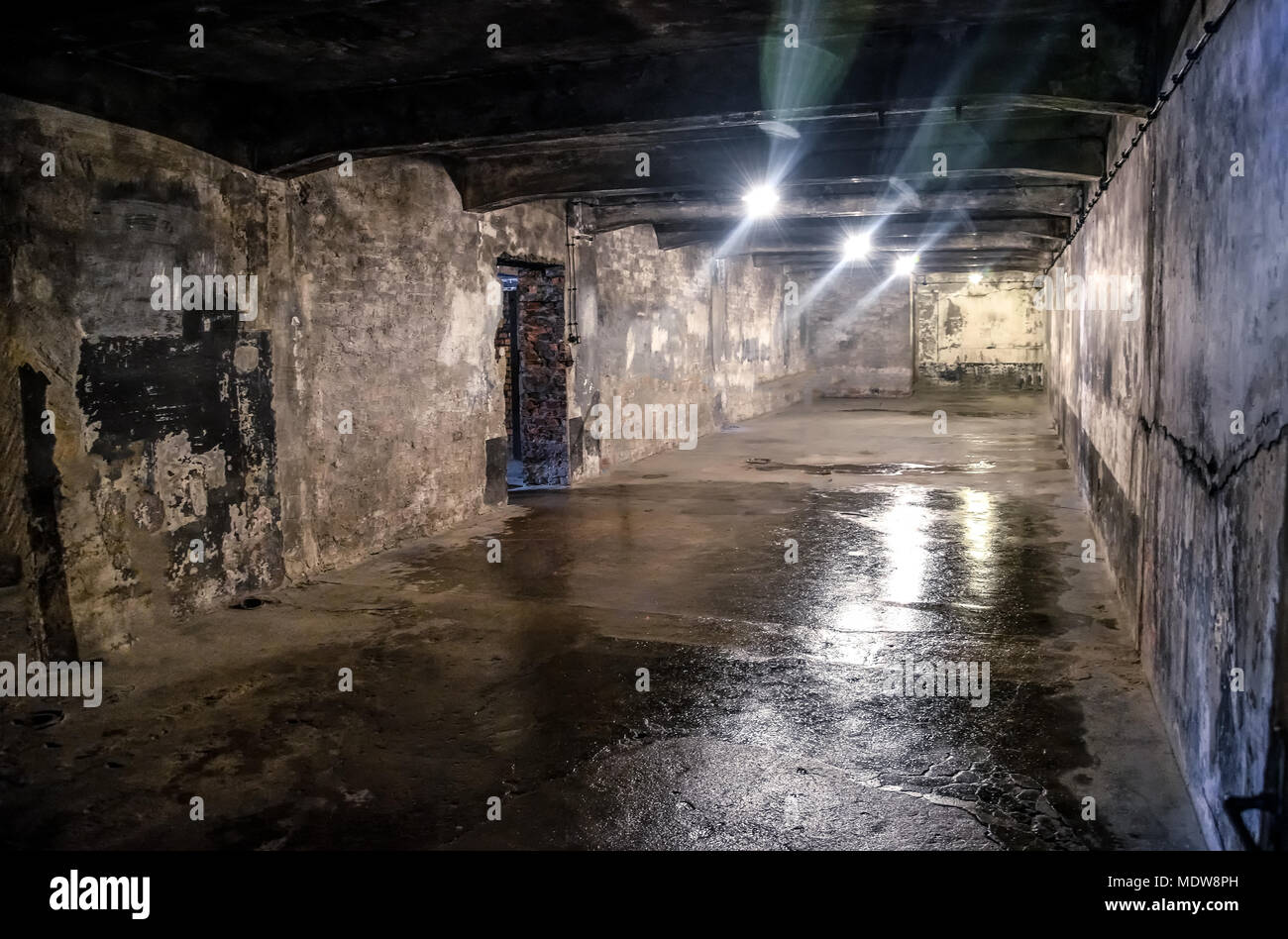 Oswiecim / Polonia - 02.15.2018: Dark, scary camera del gas situato nel seminterrato nel Museo di Auschwitz. Foto Stock