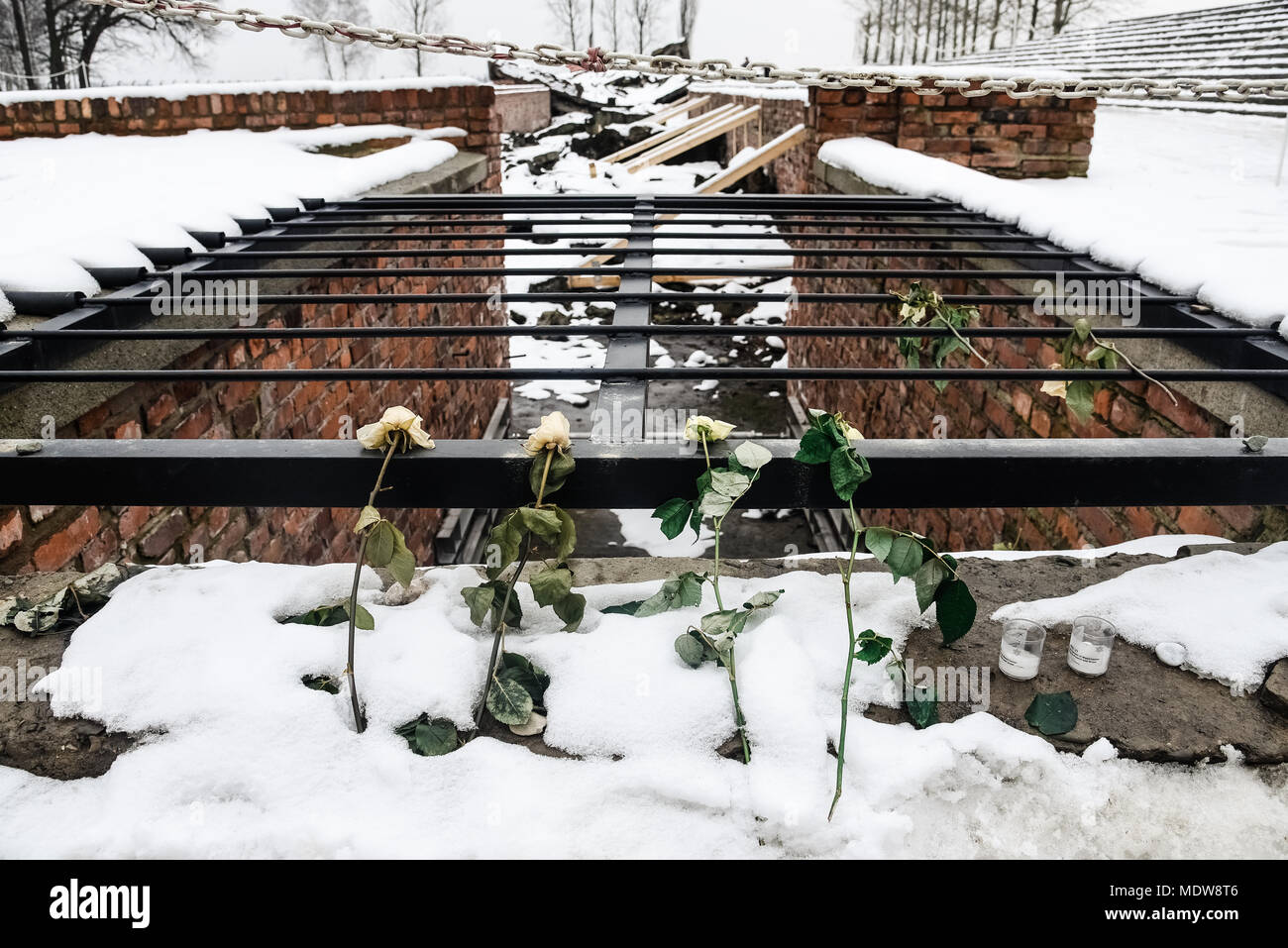 Oswiecim / Polonia - 02.15.2018: Rose fiore posa sulla cima delle rovine di una camera del gas che sono state distrutte per non essere mai utilizzato nuovamente in Auschwitz B Foto Stock