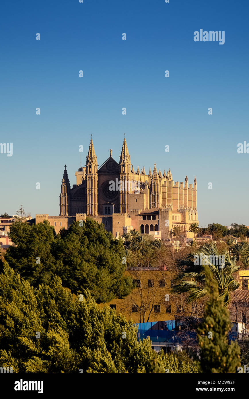 Palma de Mallorca / Maiorca - cattedrale gotica a distanza, la principale attrazione turistica. Foto Stock