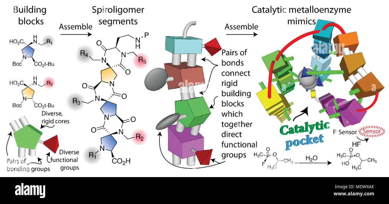 Centro Interinale ha un comodo browser web/notebook Jupyter interfaccia che consente chimici computazionali per scrivere programmi per costruire molecole. Esso supporta anche gli strumenti grafici per la visualizzazione e il disegno delle molecole. Centro Interinale incorpora un software quadro di distribuzione che consentirà ai farmacisti per sviluppare e distribuire applicazioni per la progettazione di molecole. (Immagine riprodotta per gentile concessione di Christian Schafmeister, Ph.D., Temple University) Foto Stock