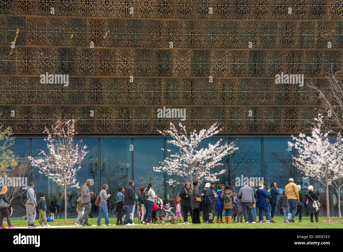 Visitatori stand in linea per accedere al Museo Nazionale di afro-americano di storia e cultura, sul National Mall di Washington DC. Foto Stock