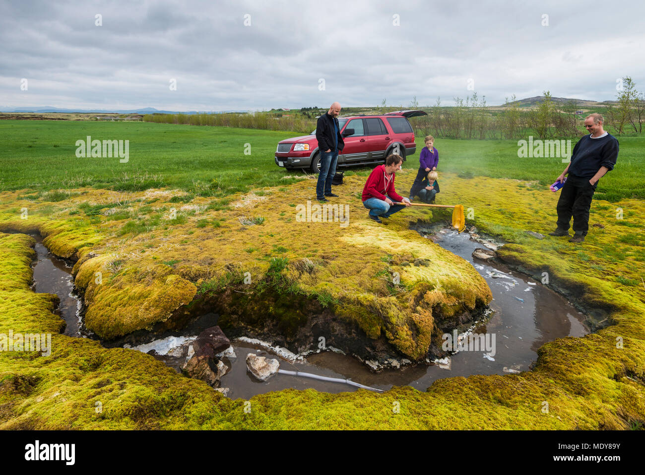 La cottura di un uovo in una rete in una molla di ebollizione; Kleppjarnsreykir, Islanda Foto Stock