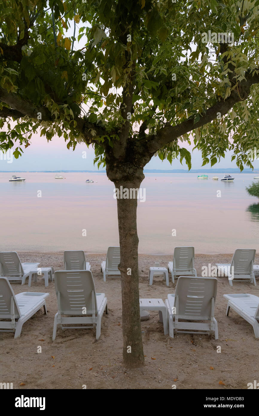 Albero e righe di sedie a sdraio sulla spiaggia in riva al lago di Garda Lago di Garda) all'alba a Bardolino in Veneto, Italia Foto Stock