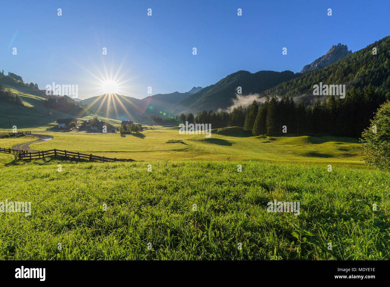 Mattina sole che splende su prati di montagna a Braies Dolomiti in provincia di Bolzano (Alto Adige), Italia Foto Stock