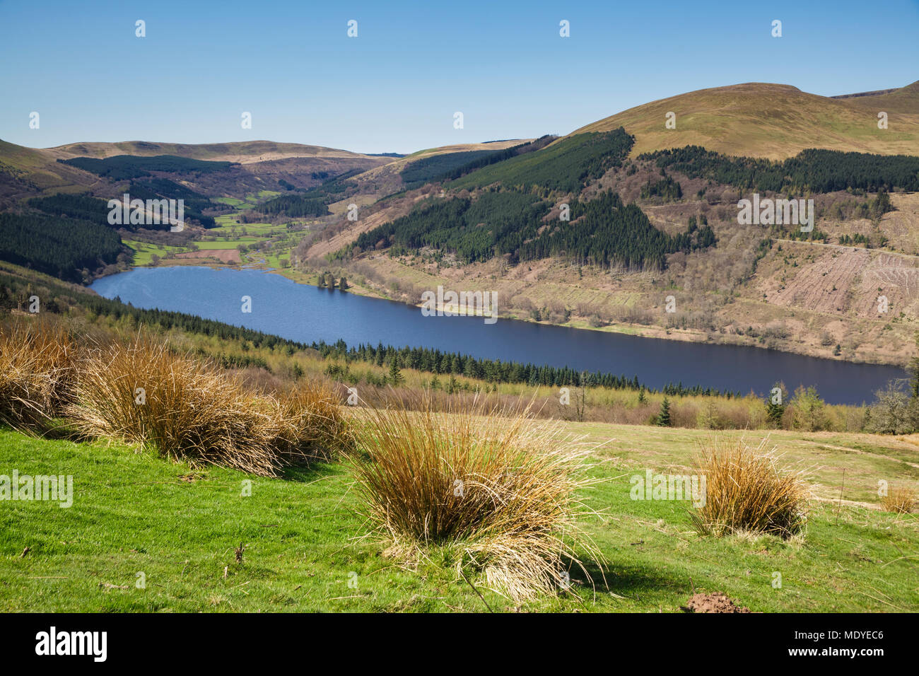 Guardando verso il basso sulla valle di Elisabetta e il serbatoio nel Parco Nazionale di Brecon Beacons Foto Stock