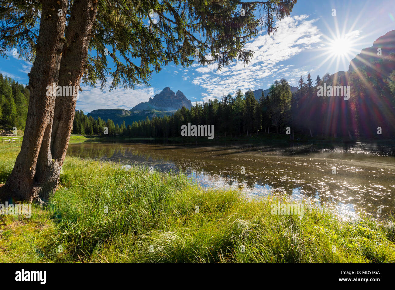 Tre Cime di Lavaredo ed il Lago Antorno con sole di mattina a Misurina nel gruppo dei Cadini in Veneto, Italia Foto Stock