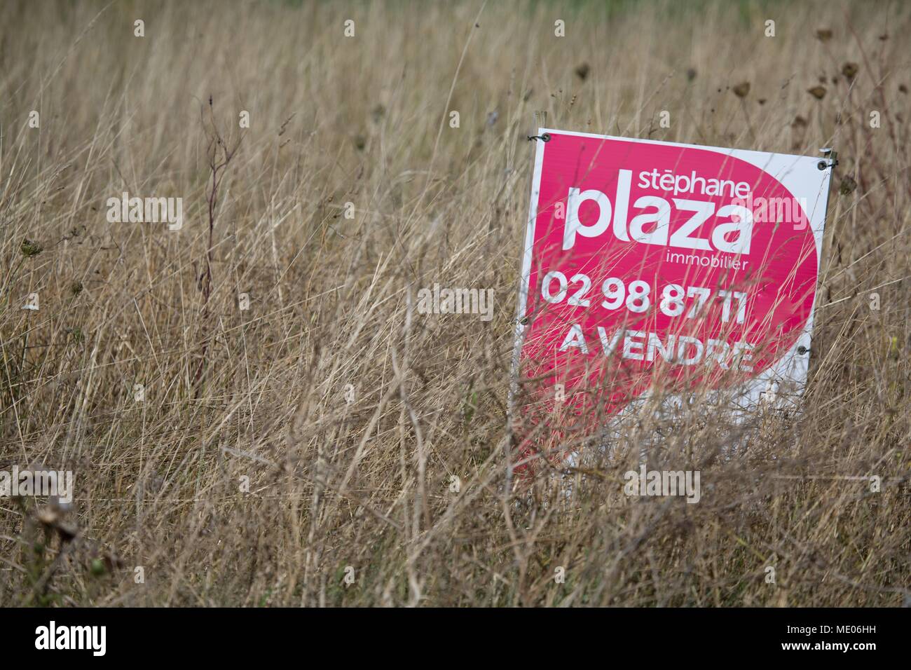 Francia, regione Bretagna, Sud Finisterre, bigouden paese, Pointe de Penmarc'h, agenzia immobiliare segno 'Stephane Plaza", plot per la vendita Foto Stock