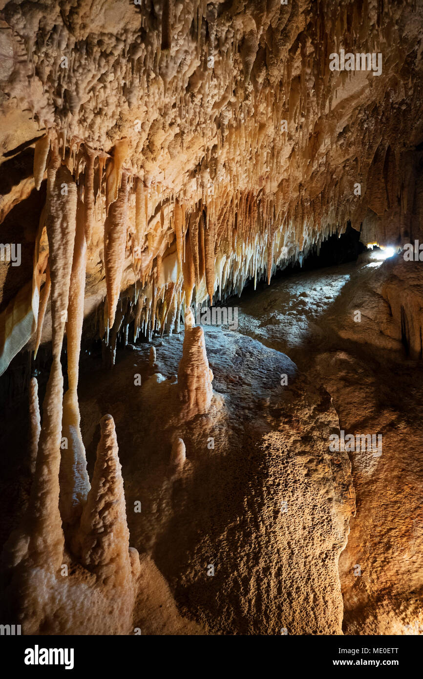Close-up di stalattiti e stalagmiti in caverne di Jenolan nelle Blue Mountains del Nuovo Galles del Sud, Australia Foto Stock