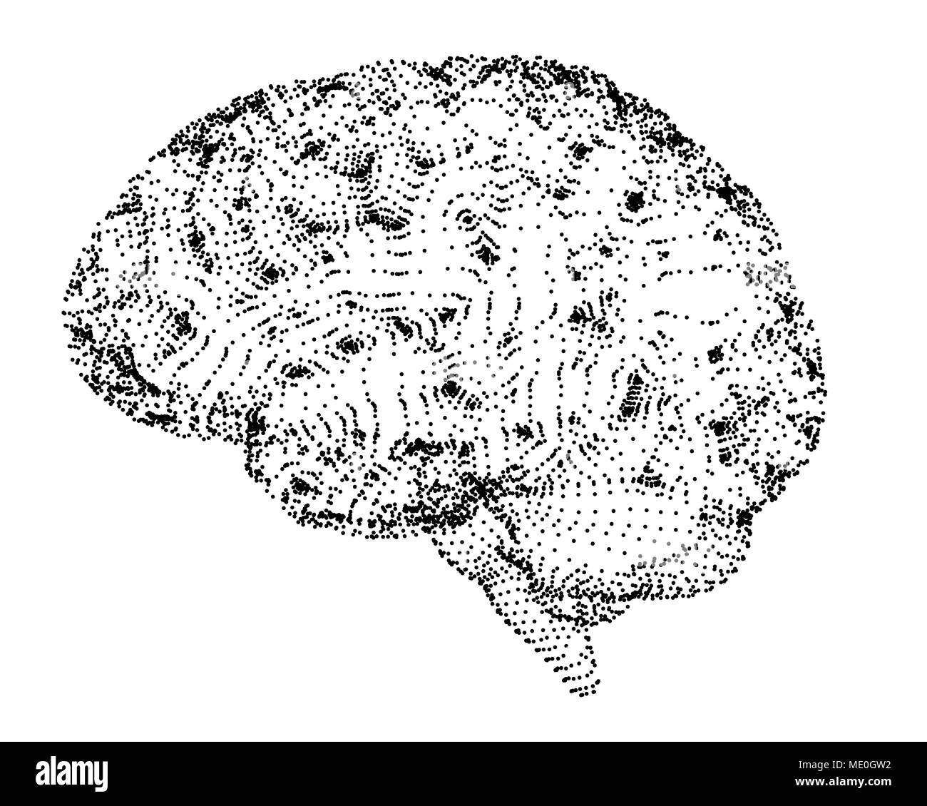 Cervello umano, illustrazione concettuale. Foto Stock