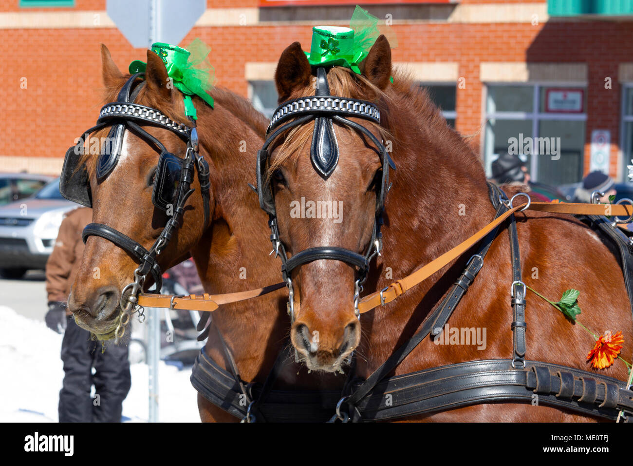 St-Patrick's Parade Richmond,Qc. Canada Foto Stock