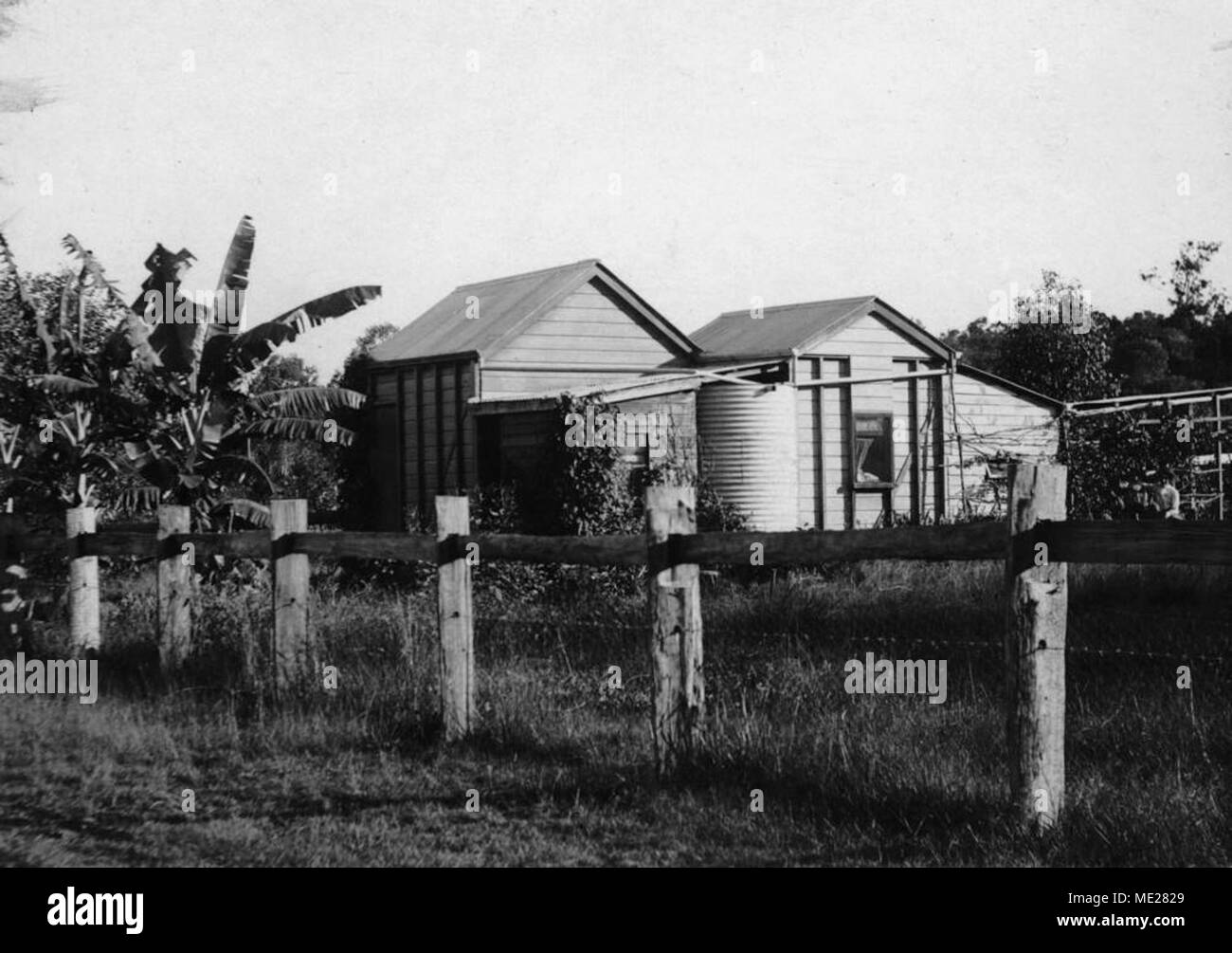 John Nicholson in casa Northgate, Brisbane, CA 1913. Foto Stock