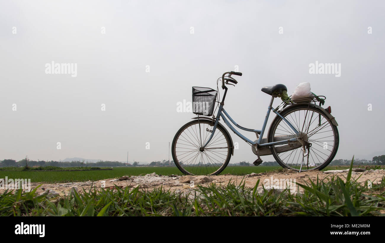 Bicicletta e le risaie Foto Stock