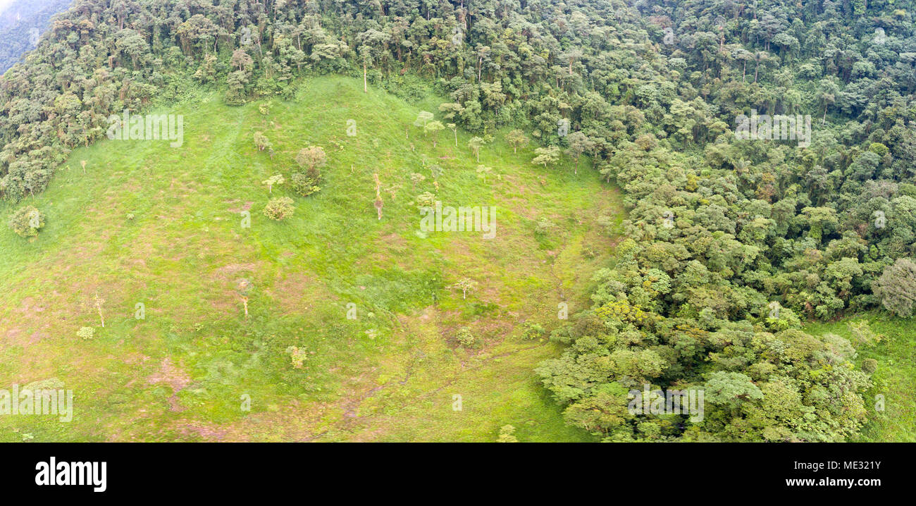 Riprese aeree di un pascolo del bestiame tagliato fuori incontaminata foresta pluviale montane. Su amazzonica pendici delle Ande di Morona Santiago provincia, Ecuador Foto Stock