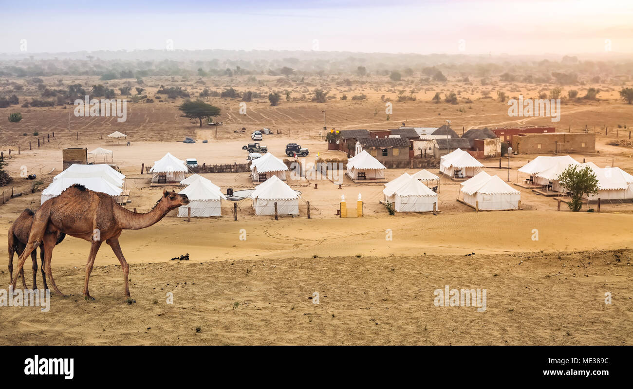 Deserto di Thar Jaisalmer Rajasthan con vista di tende e cammelli utilizzati per il safari nel deserto Foto Stock