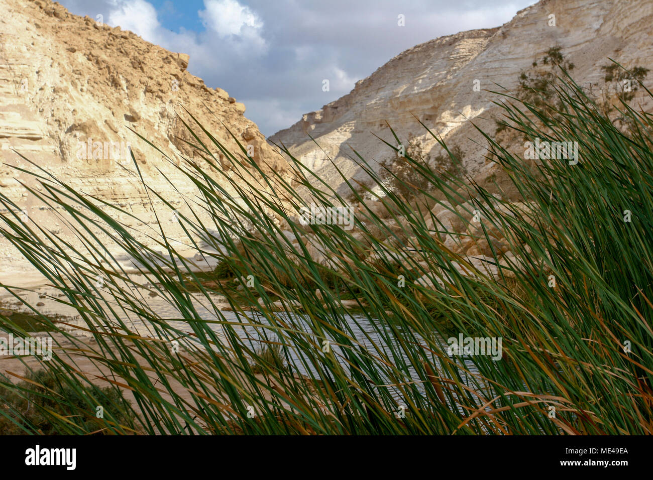 Israele Negev, guardando fuori verso Ein Ovdat e il Wadi Zin valley Foto Stock