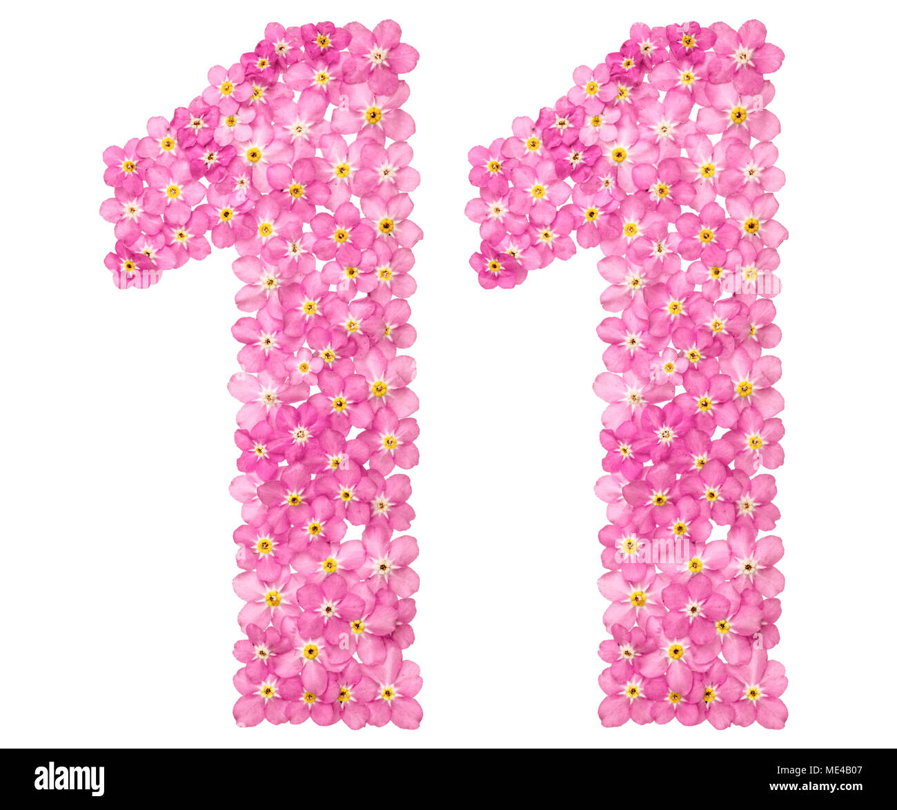 Numero arabo 11, undici, dal rosa dimenticare-me-non fiori, isolati su sfondo bianco Foto Stock