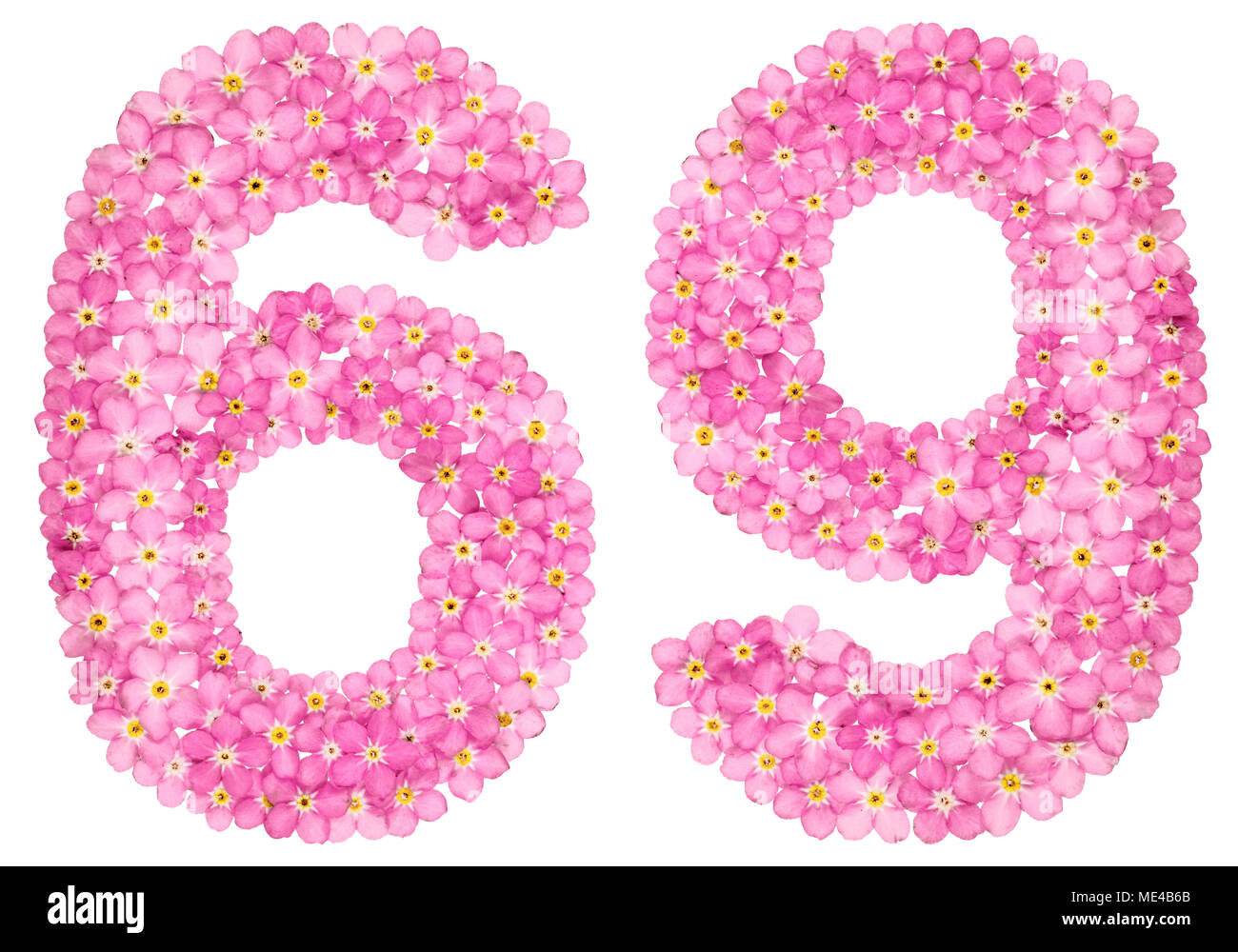 Numero arabo 69, sessanta nove, dal rosa dimenticare-me-non fiori, isolati su sfondo bianco Foto Stock