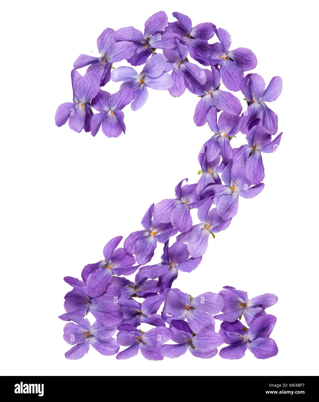 Numero arabo 2, due, dai fiori di viola, isolato su sfondo bianco Foto Stock