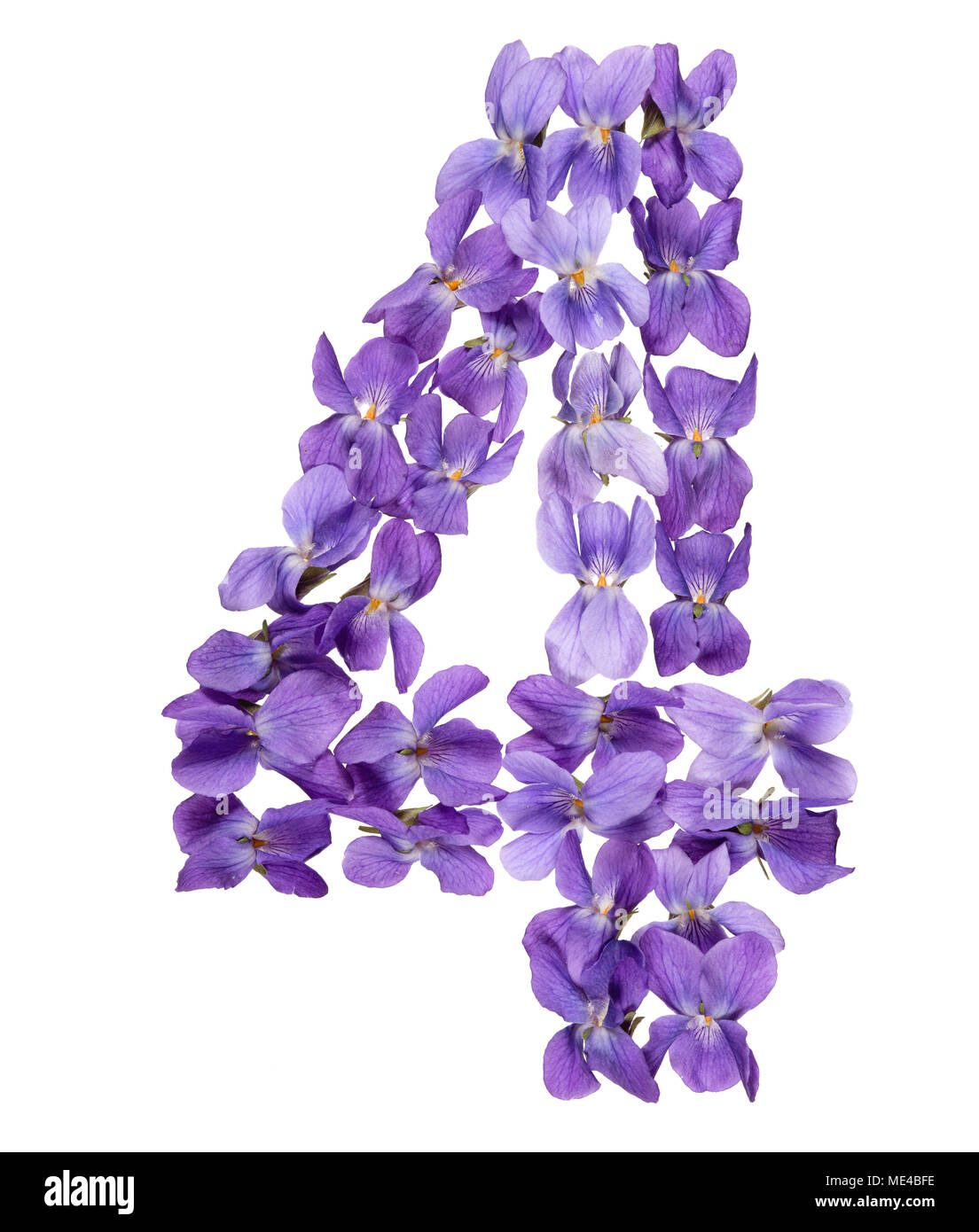 Numero arabo 4, quattro da fiori di viola, isolato su sfondo bianco Foto Stock