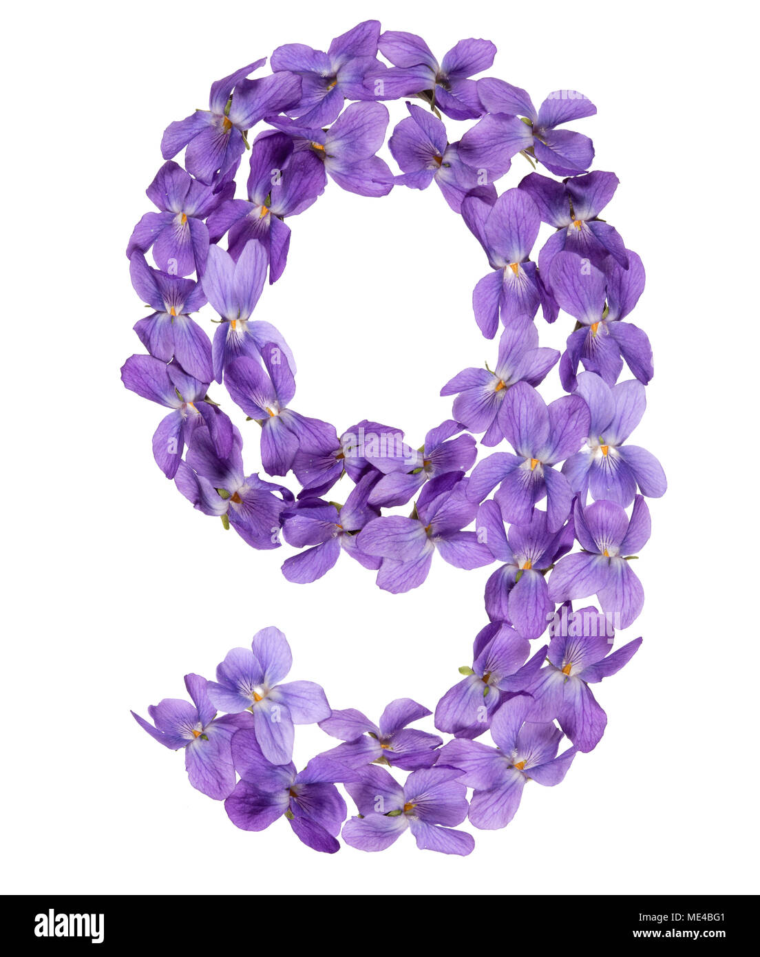 Numero arabo 9, nove, dai fiori di viola, isolato su sfondo bianco Foto Stock