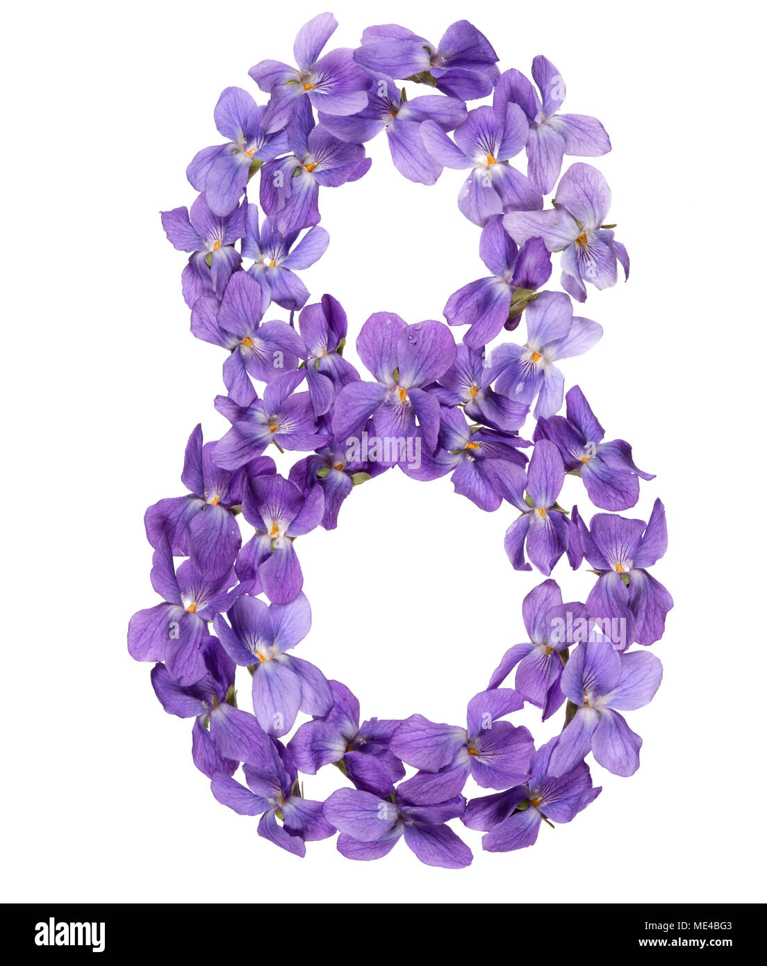 Numero arabo 8, otto di fiori di viola, isolato su sfondo bianco Foto Stock