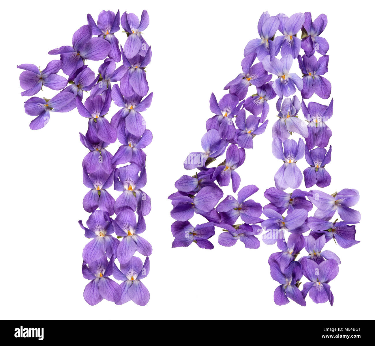 Numero arabo 14, quattordici, dai fiori di viola, isolato su sfondo bianco Foto Stock