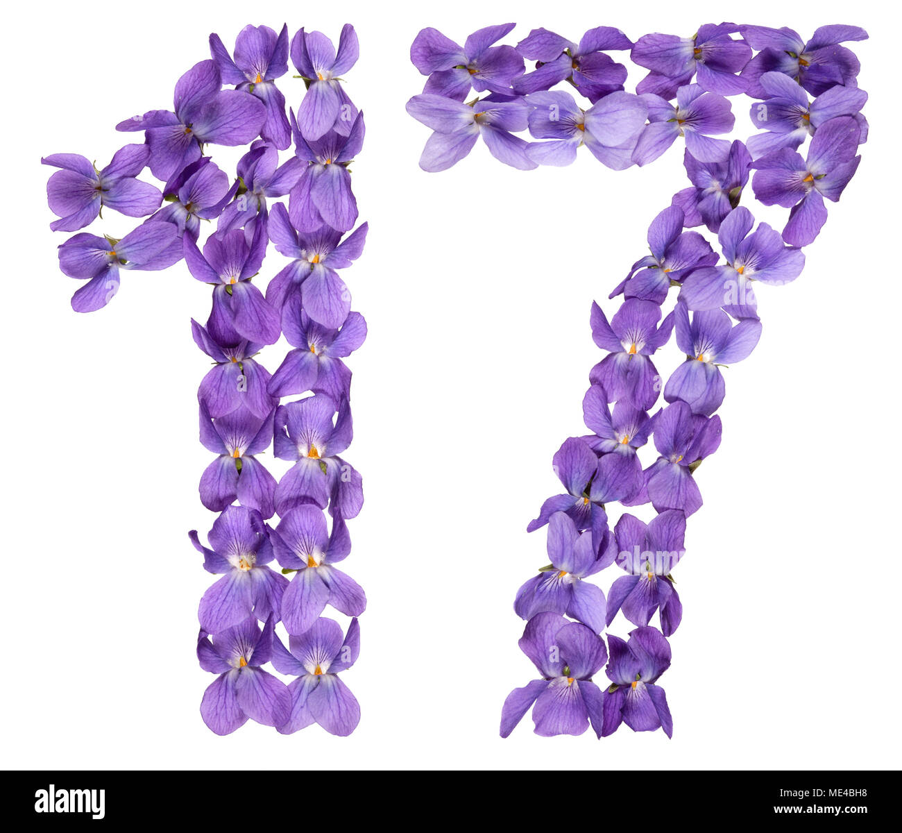 Numero arabo 17, diciassette, dai fiori di viola, isolato su sfondo bianco Foto Stock