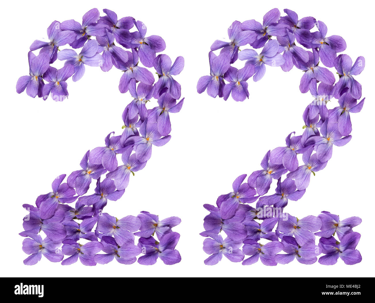 Numero arabo 22, ventidue, dai fiori di viola, isolato su sfondo bianco Foto Stock