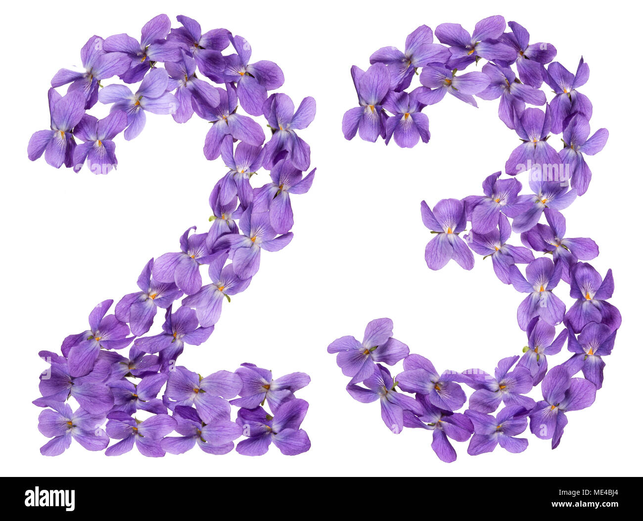 Numero arabo 23, ventitre, dai fiori di viola, isolato su sfondo bianco Foto Stock