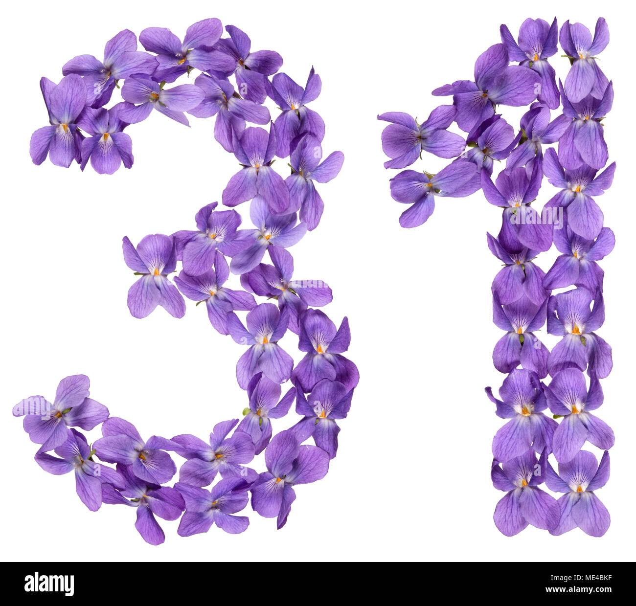 Numero arabo 31, trenta uno, dai fiori di viola, isolato su sfondo bianco Foto Stock