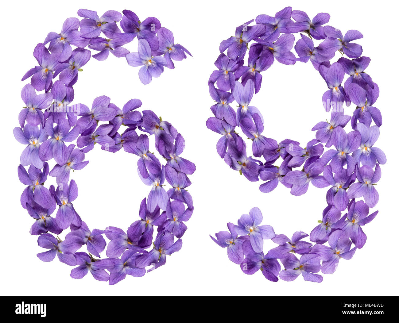 Numero arabo 69, sessanta nove, dai fiori di viola, isolato su sfondo bianco Foto Stock