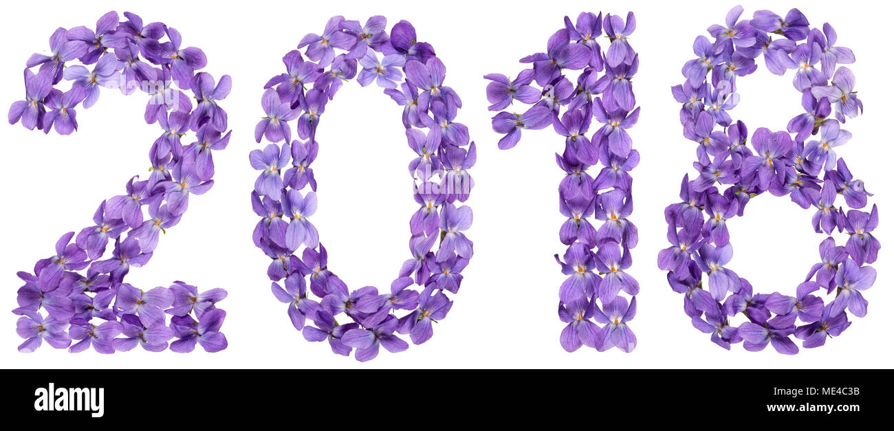 Il numero di riferimento 2018 dai fiori di viola, isolato su sfondo bianco Foto Stock