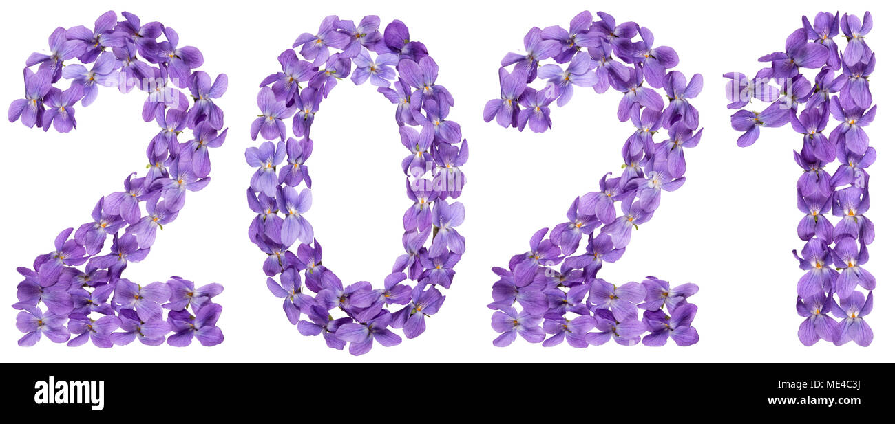 Il numero di riferimento 2021 dai fiori di viola, isolato su sfondo bianco Foto Stock