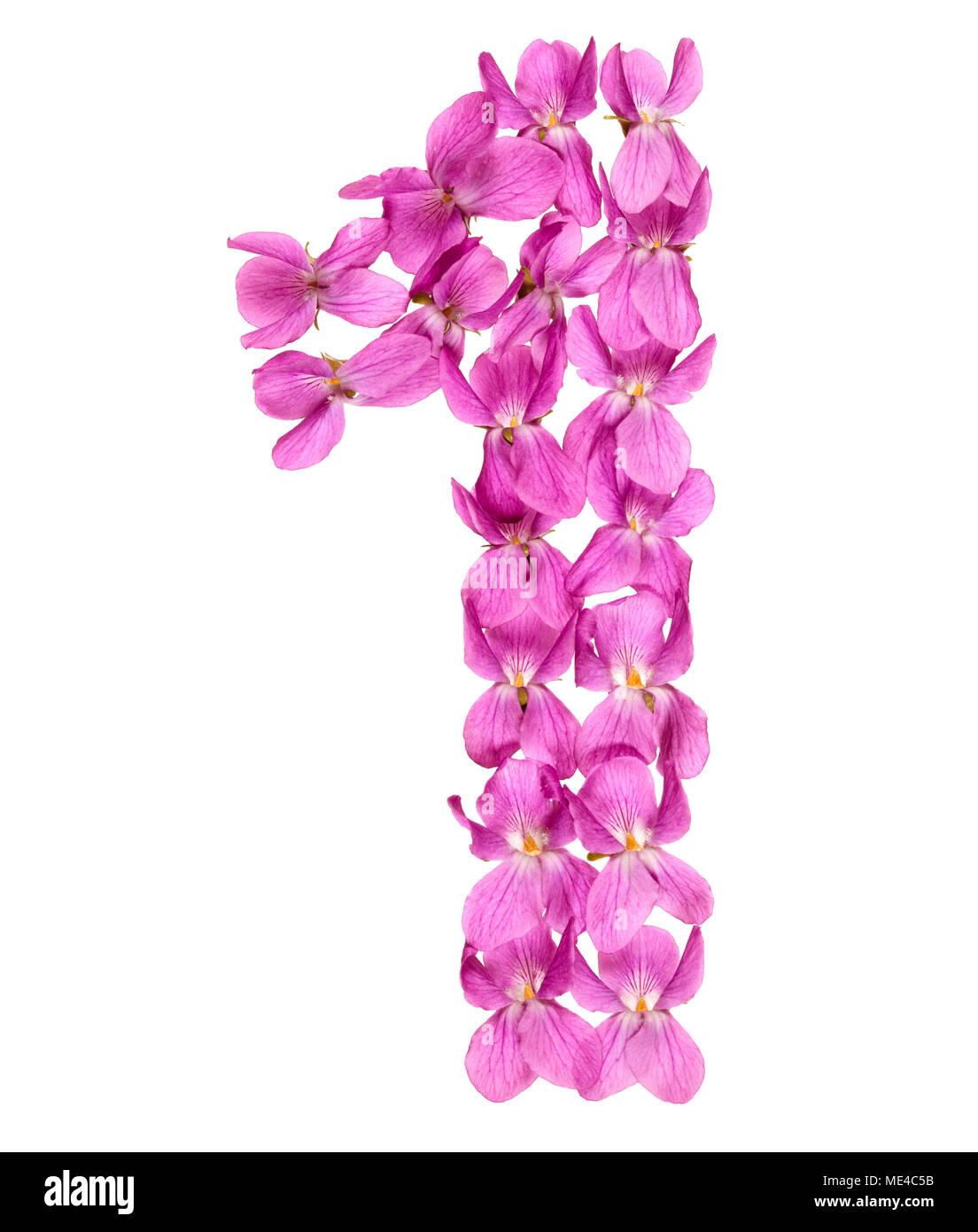 Numero arabo 1, uno, dai fiori di viola, isolato su sfondo bianco Foto Stock