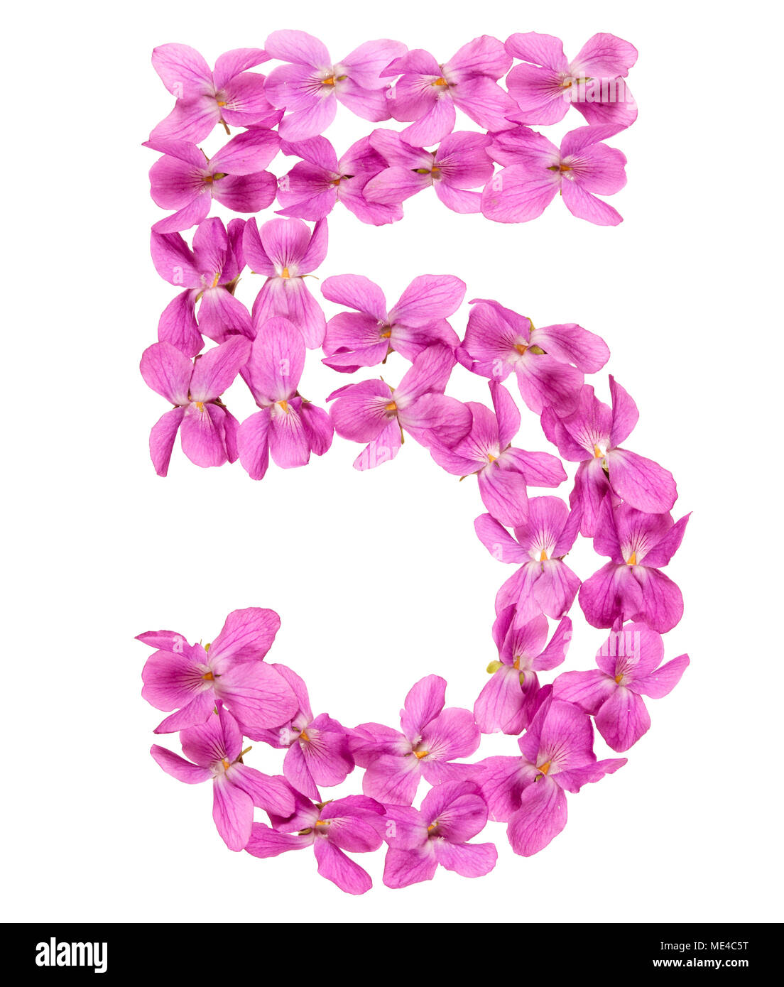 Numero arabo 5, 5, dai fiori di viola, isolato su sfondo bianco Foto Stock