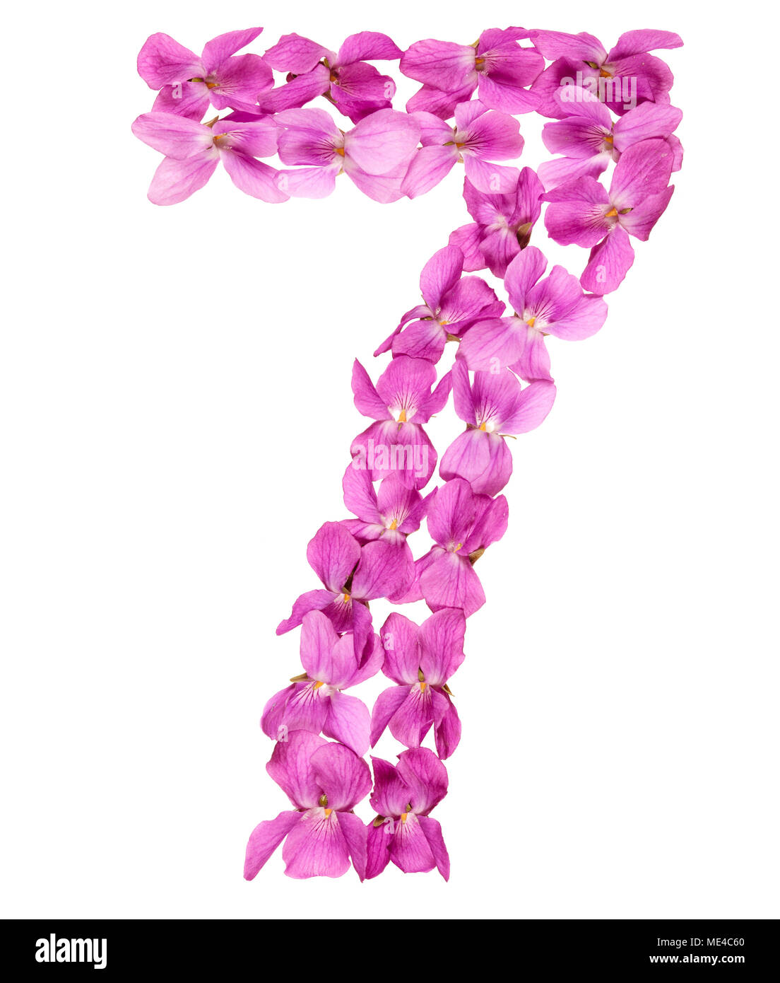 Numero arabo 7, sette, dai fiori di viola, isolato su sfondo bianco Foto Stock