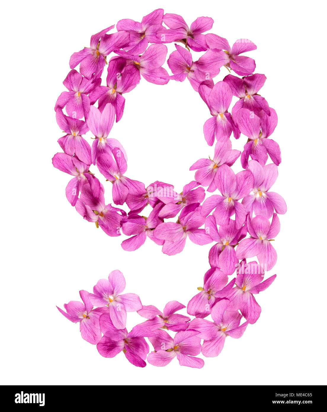 Numero arabo 9, nove, dai fiori di viola, isolato su sfondo bianco Foto Stock