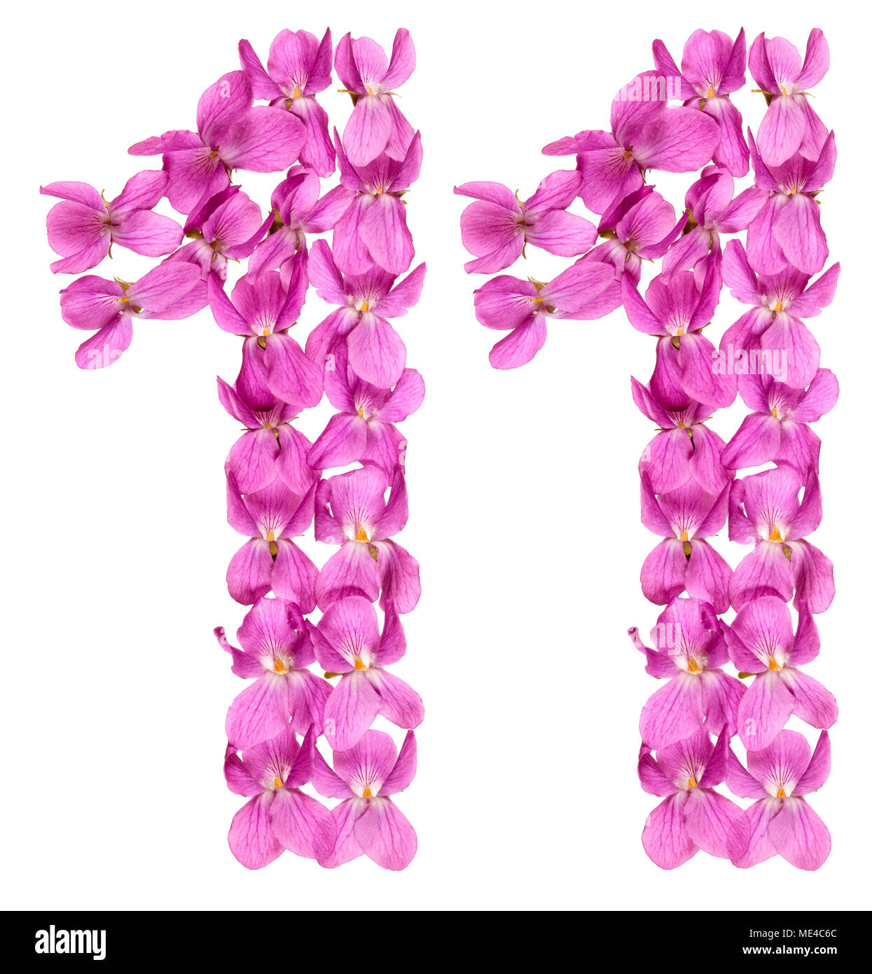 Numero arabo 11, undici, dai fiori di viola, isolato su sfondo bianco Foto Stock