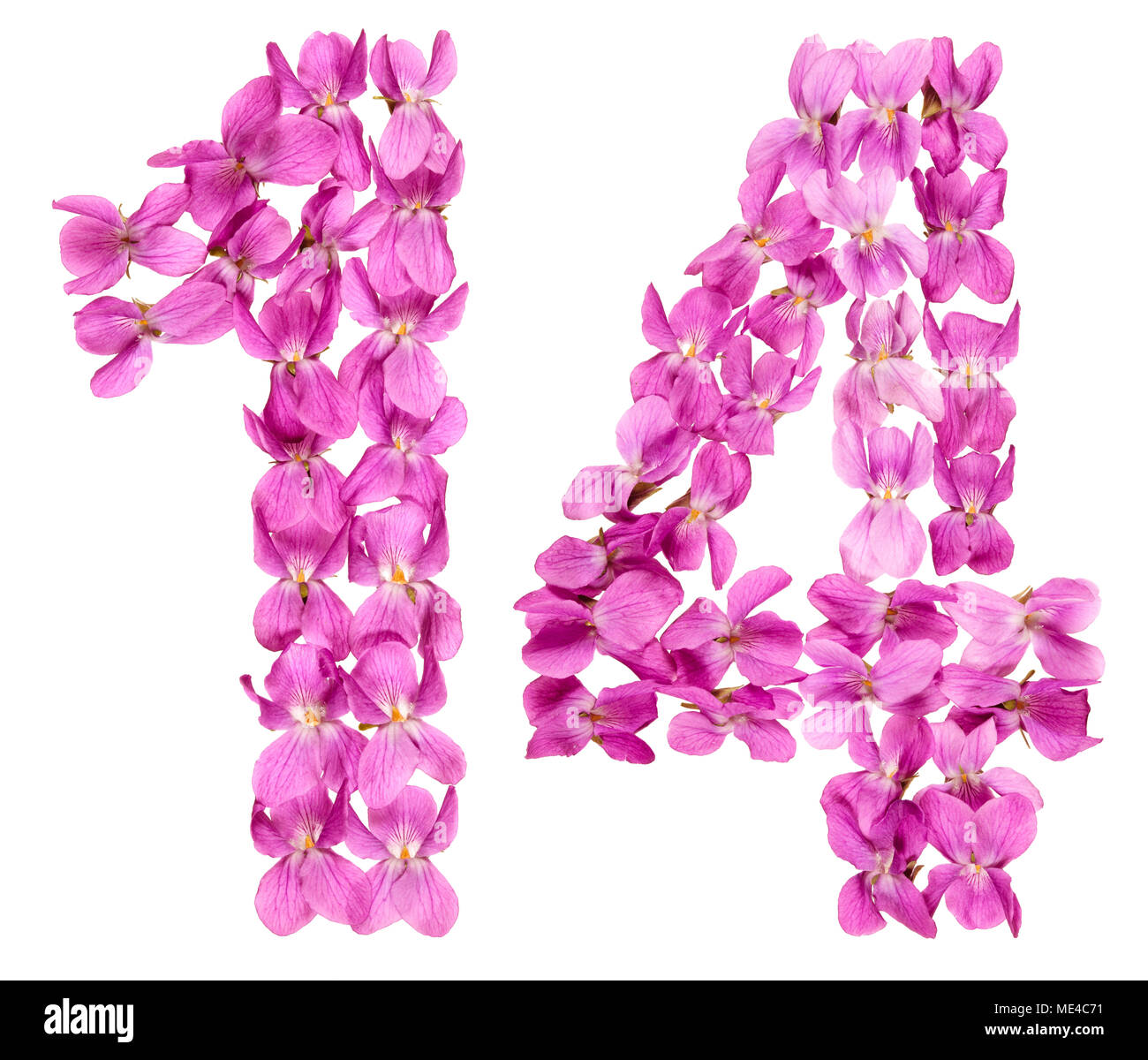 Numero arabo 14, quattordici, dai fiori di viola, isolato su sfondo bianco Foto Stock