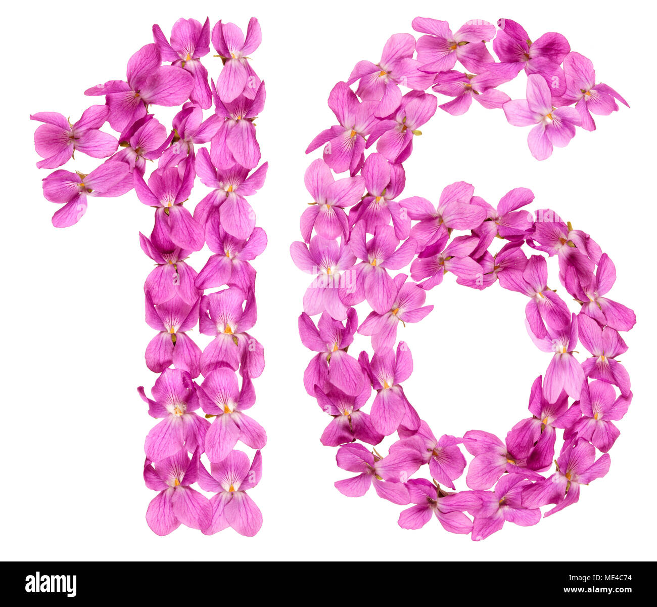 Numero arabo 16, sedici, dai fiori di viola, isolato su sfondo bianco Foto Stock