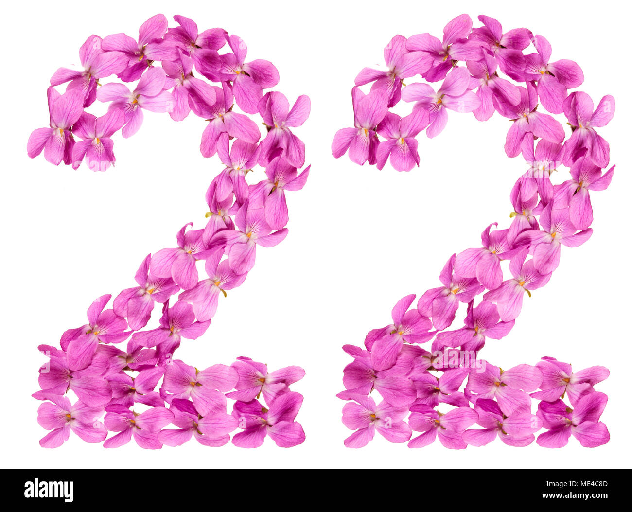Numero arabo 22, ventidue, dai fiori di viola, isolato su sfondo bianco Foto Stock