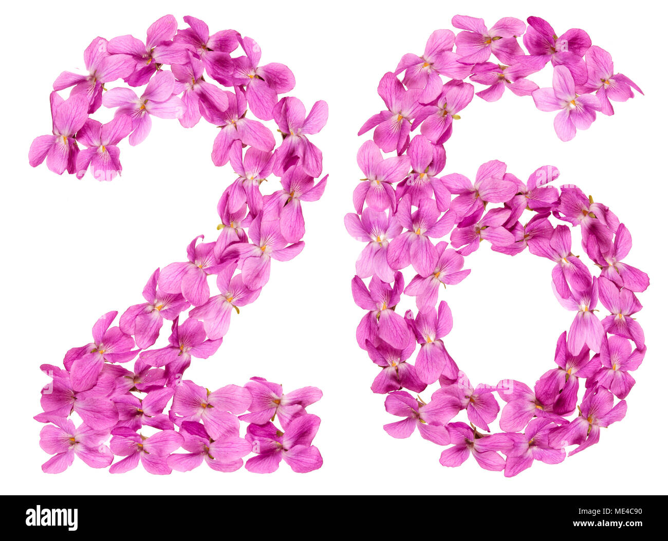 Numero arabo 26, ventisei, dai fiori di viola, isolato su sfondo bianco Foto Stock